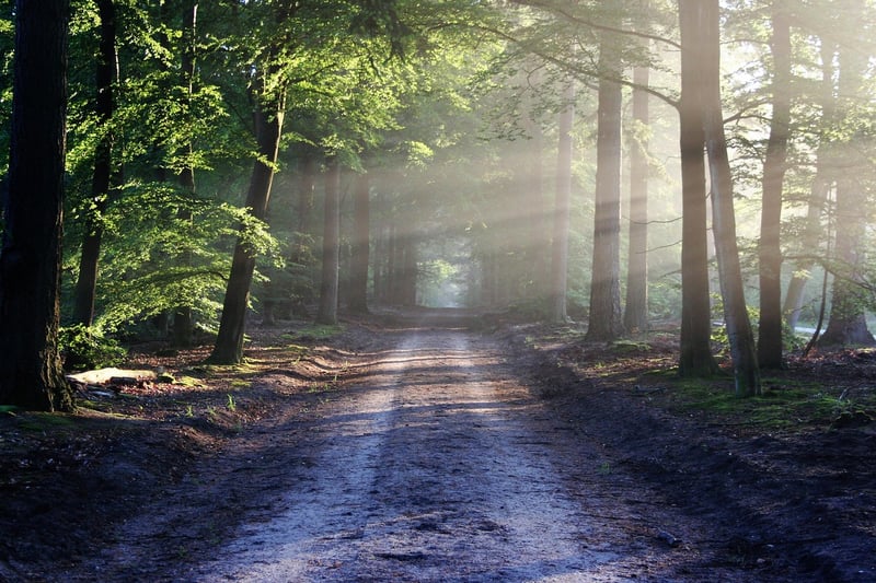 Magical Pathways