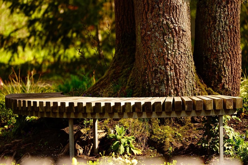 Enchanted Seating