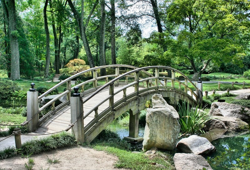 Rock Garden Design